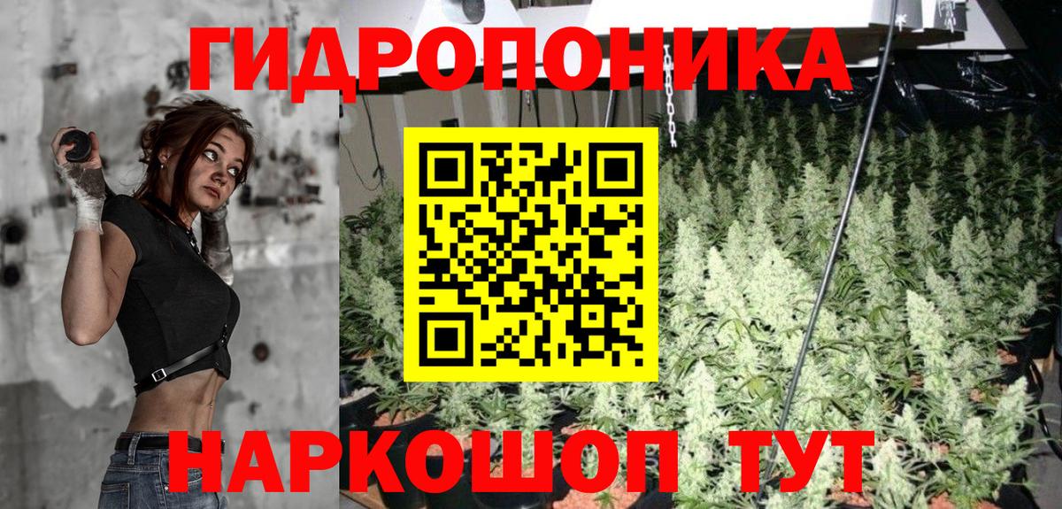Конопля Amnesia Сертолово